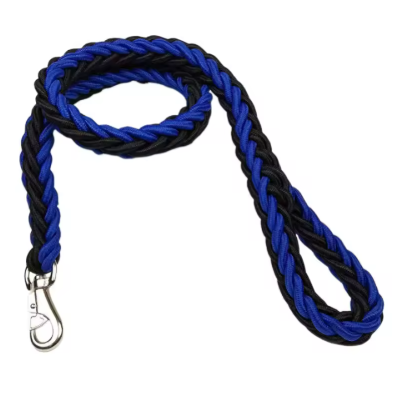Laisse pour Chien | ForcePaw