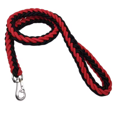 Laisse pour Chien | ForcePaw