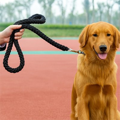 Laisse pour Chien promenade