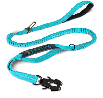 Laisse pour chien | FlexControl™