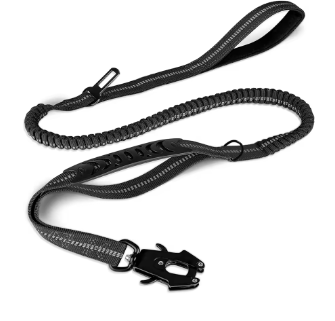 Laisse pour chien | FlexControl™