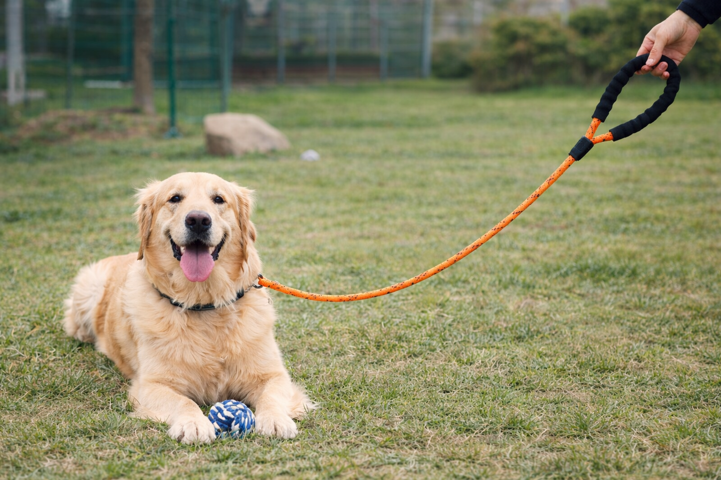 Laisse pour chien | Liberty Rope