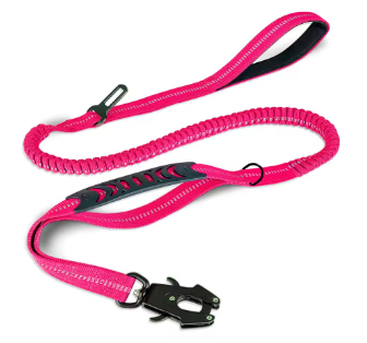 Laisse pour chien | FlexControl™