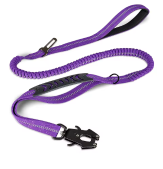 Laisse pour chien | FlexControl™