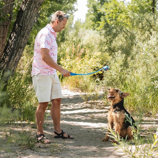 Lanceur de balle pour chien exterieur