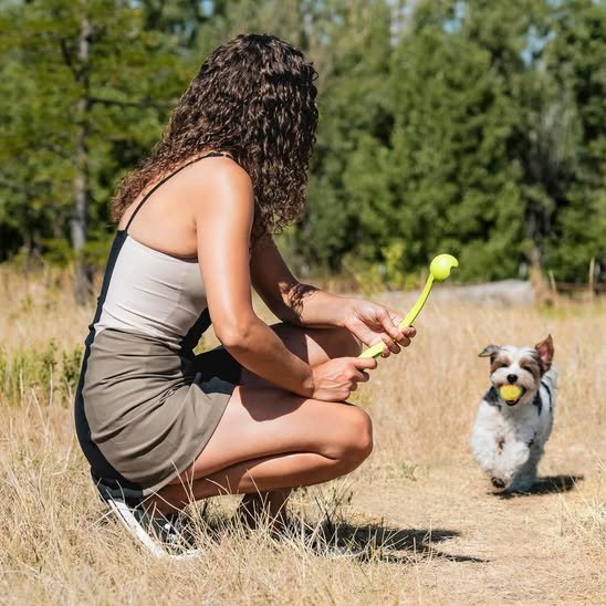 Lanceur de balle pour chien jeu exterieur