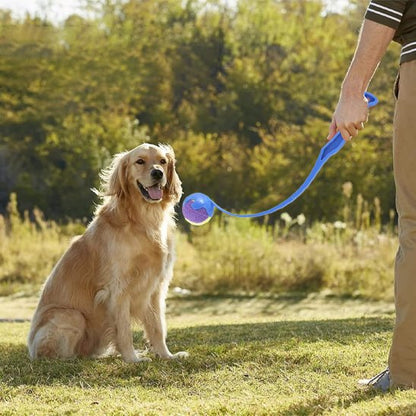 Lanceur de balle pour chien pour le parc