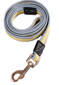 Laisse pour Chien | Iconic Paw