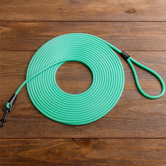 Longe pour chien couelur menthe