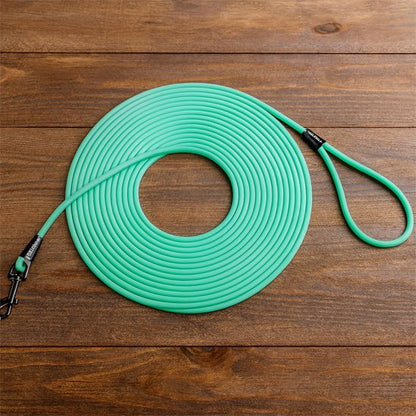 Longe pour chien couelur menthe