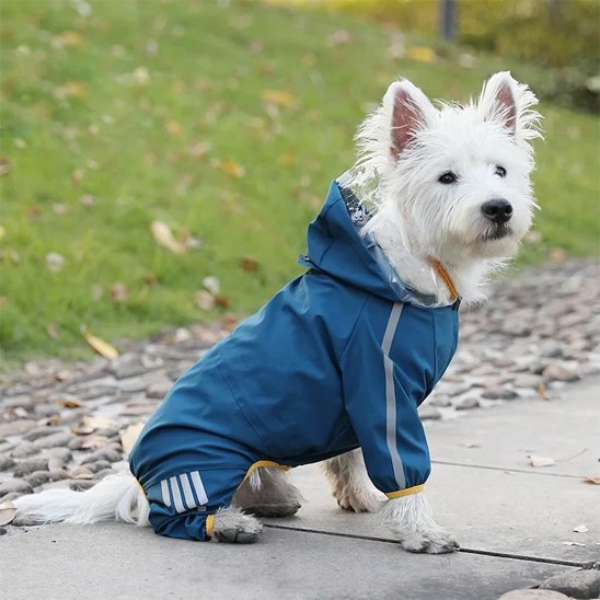 Manteau impermeable pour chien bleu bande reflechissante