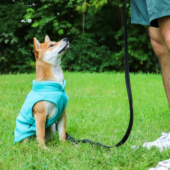 Manteau pour chien polaire balade