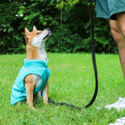 Manteau pour chien polaire balade