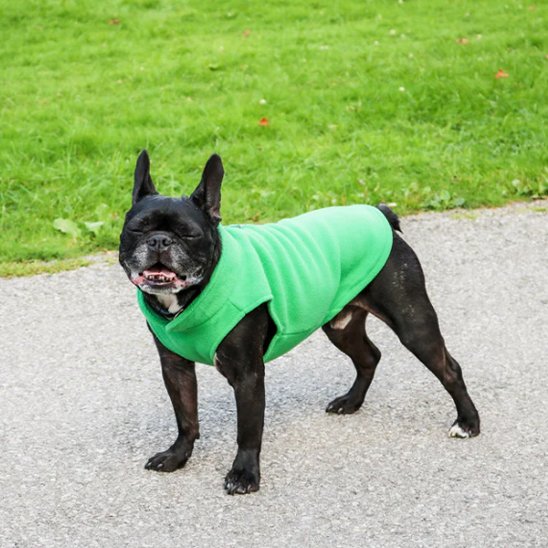 Manteau pour chien polaire chaude verte