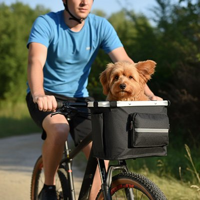 panier velo chien heureux