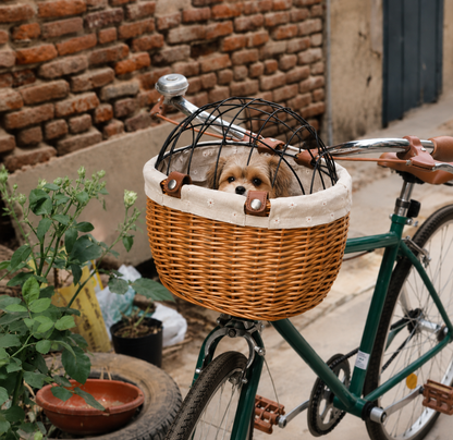 panier velo chien | Rotin Artisanal™