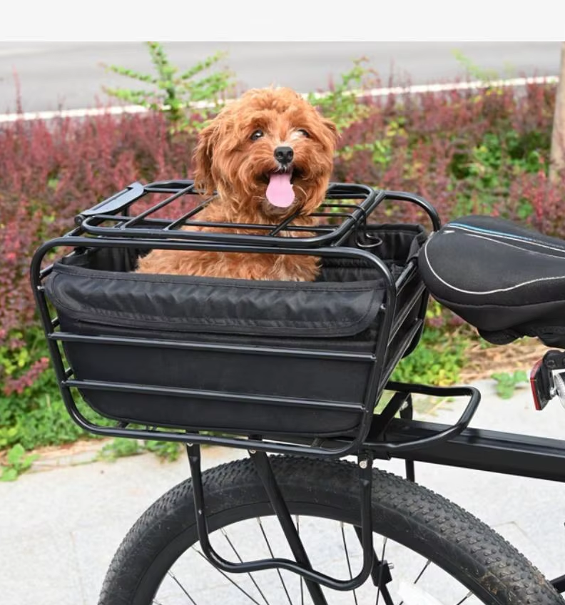panier velo chien | VéloPattes™