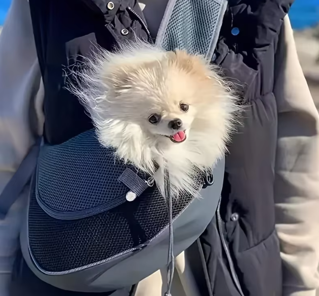 Sac de transport pour chien | CuddlePaw™